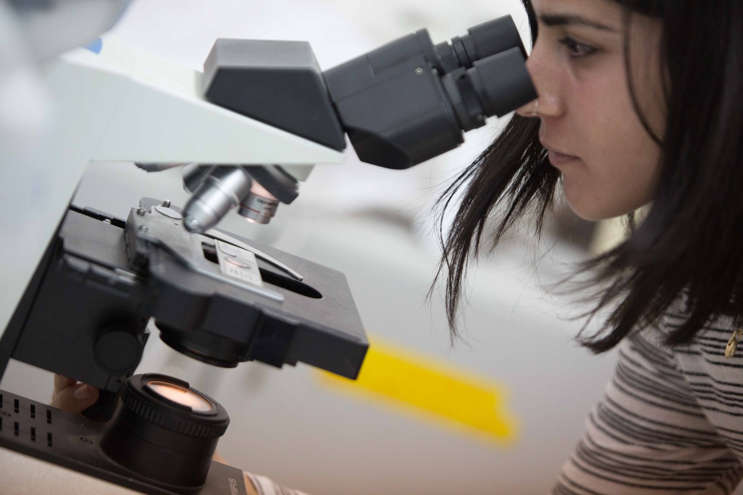 כנס קיימות אחוה