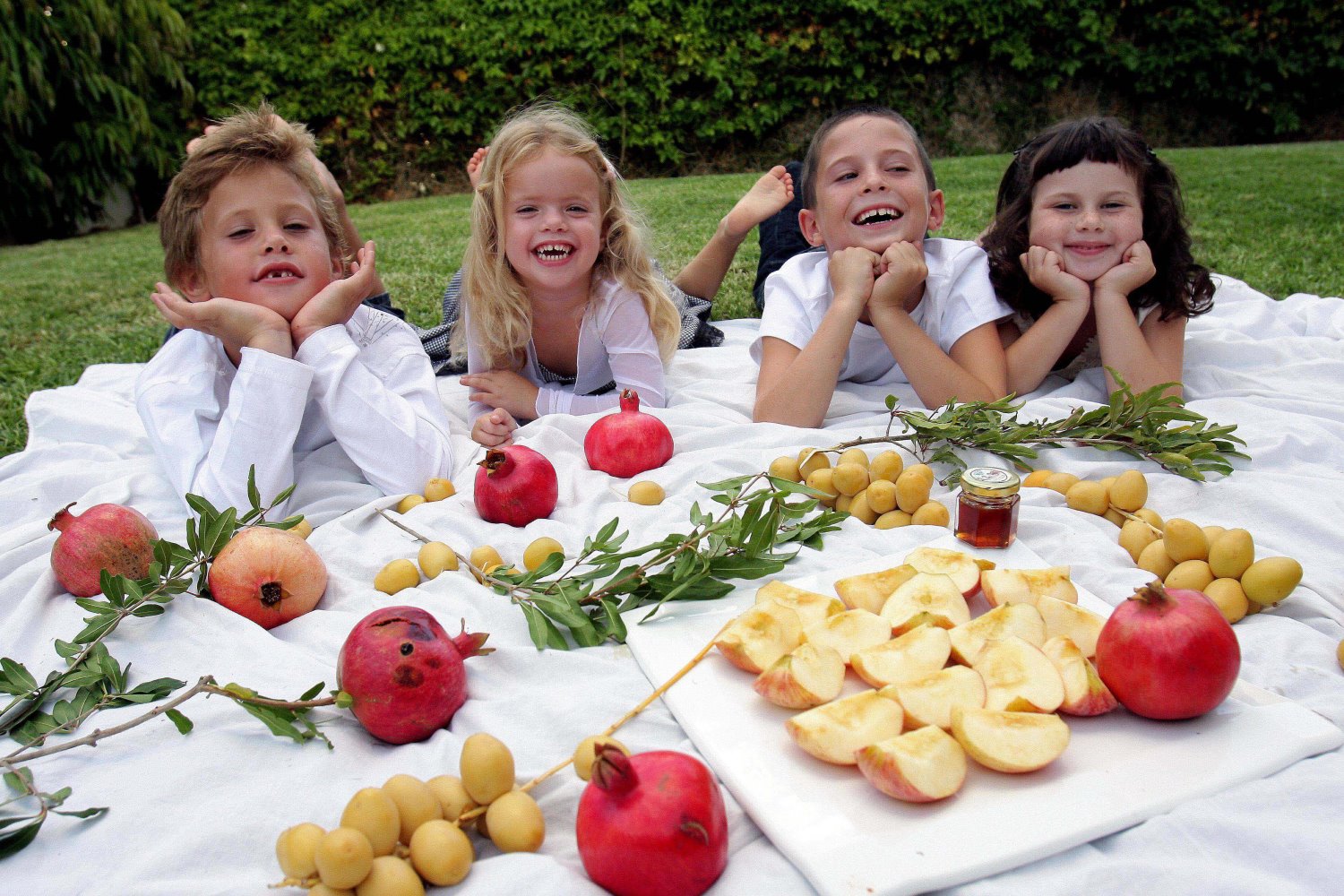 צילום אדי ישראל