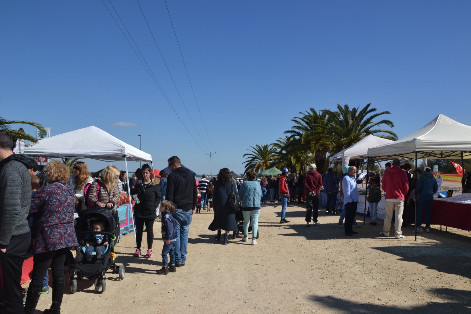 שופינג בפסטיבל