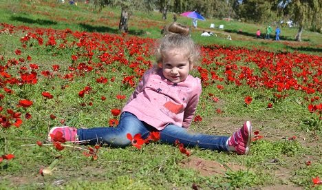 צילום : אלדה נתנאל