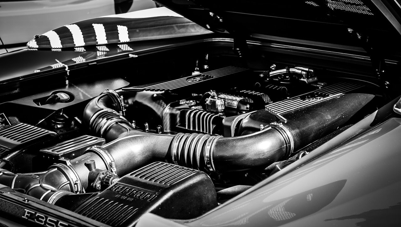 צילום : pixabay