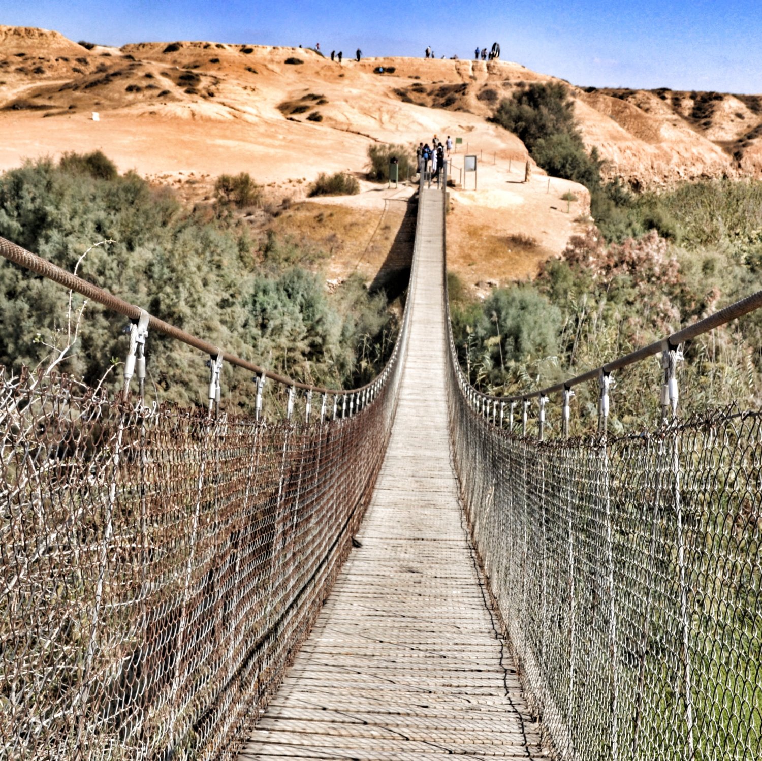 הגשר התלוי בבשור צילום: אלדה נתנאל