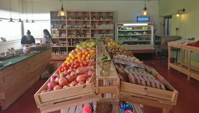 תמרי בגני טל