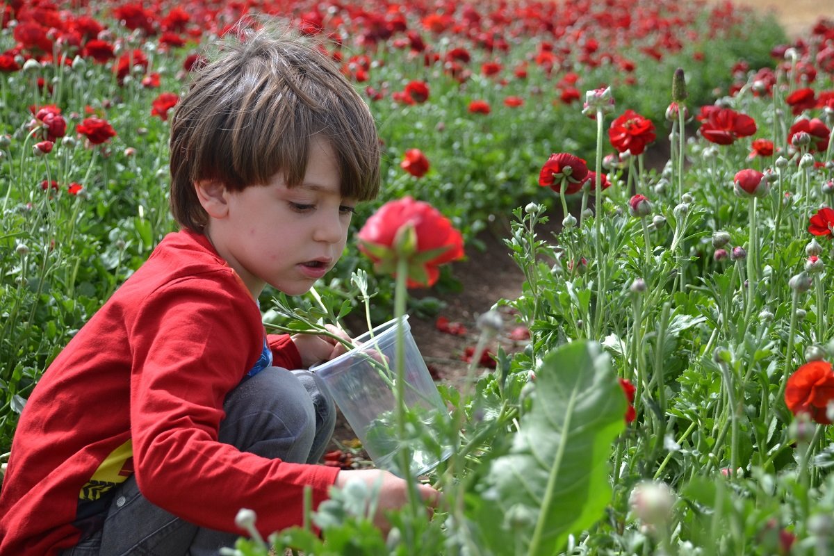 צילום : אלדה נתנאל