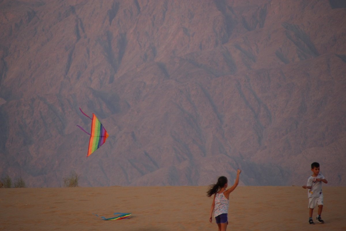 פסטיבל אנרגטי- ניצן גולן