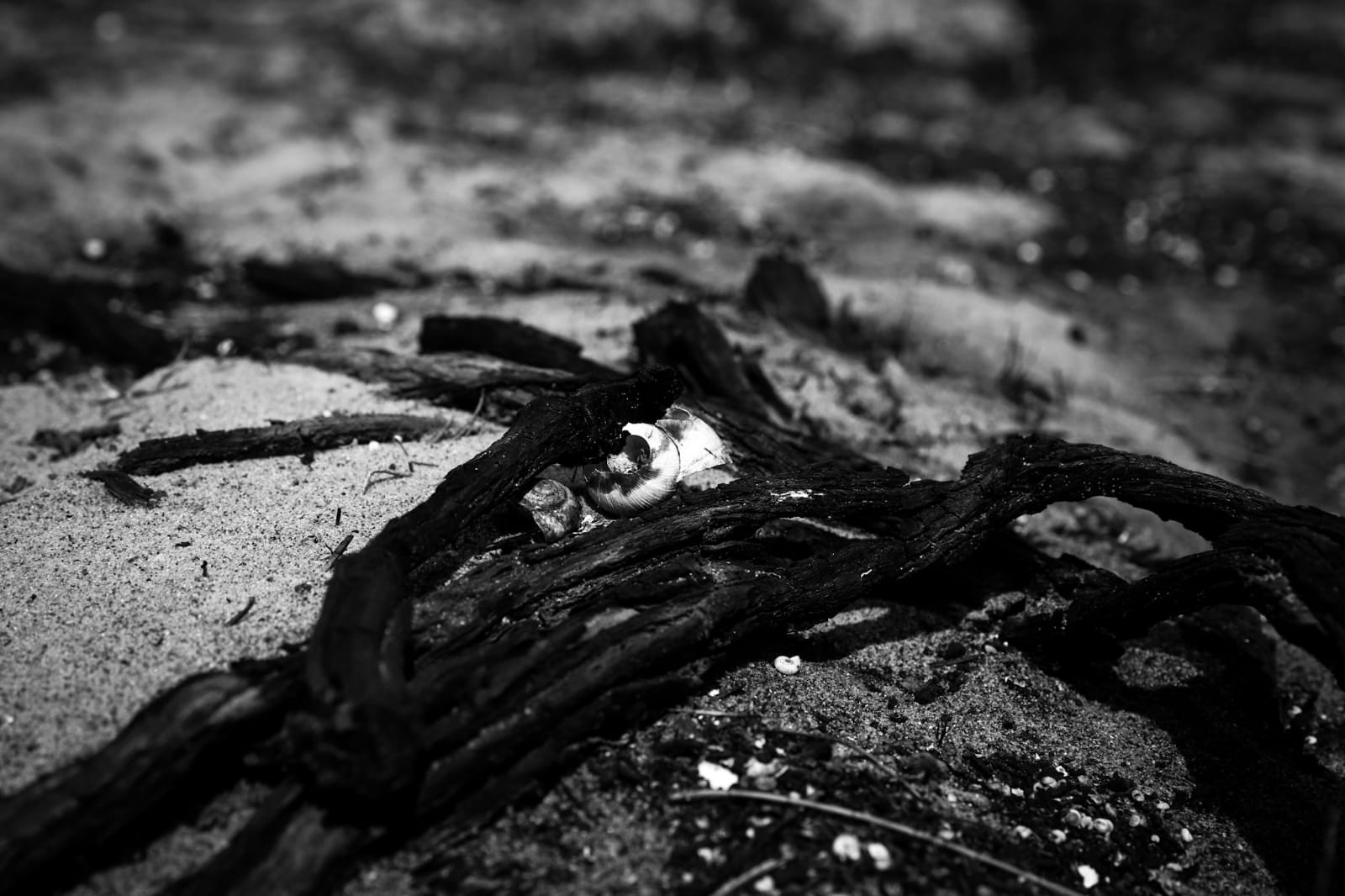 יאיר אבלסון