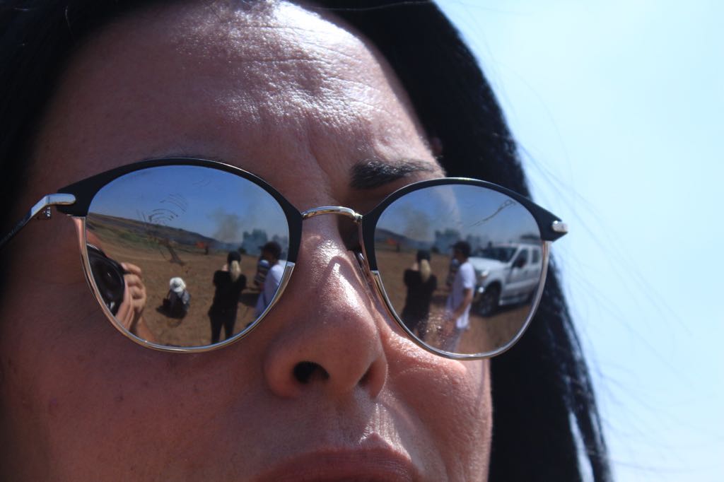 צילום פלדמן צביקה