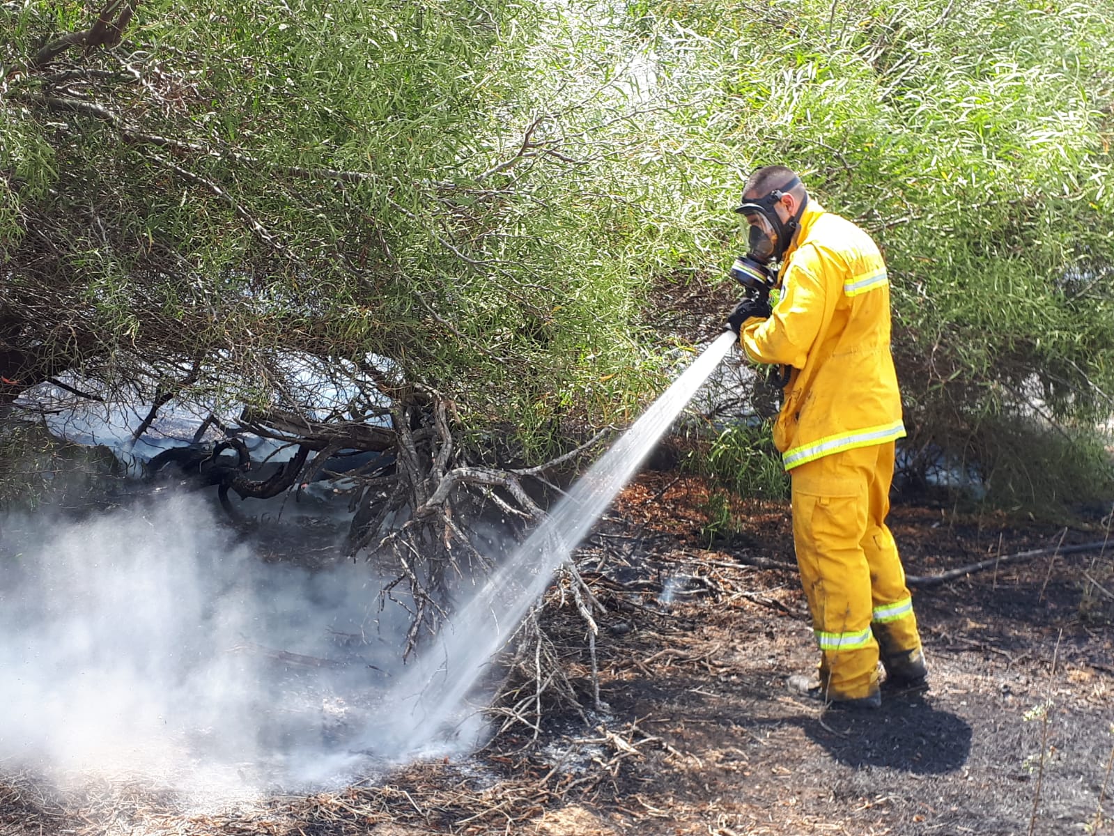 צילום אסתי לובינר