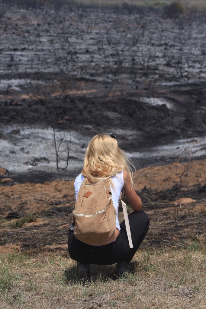 צילום פלדמן צביקה