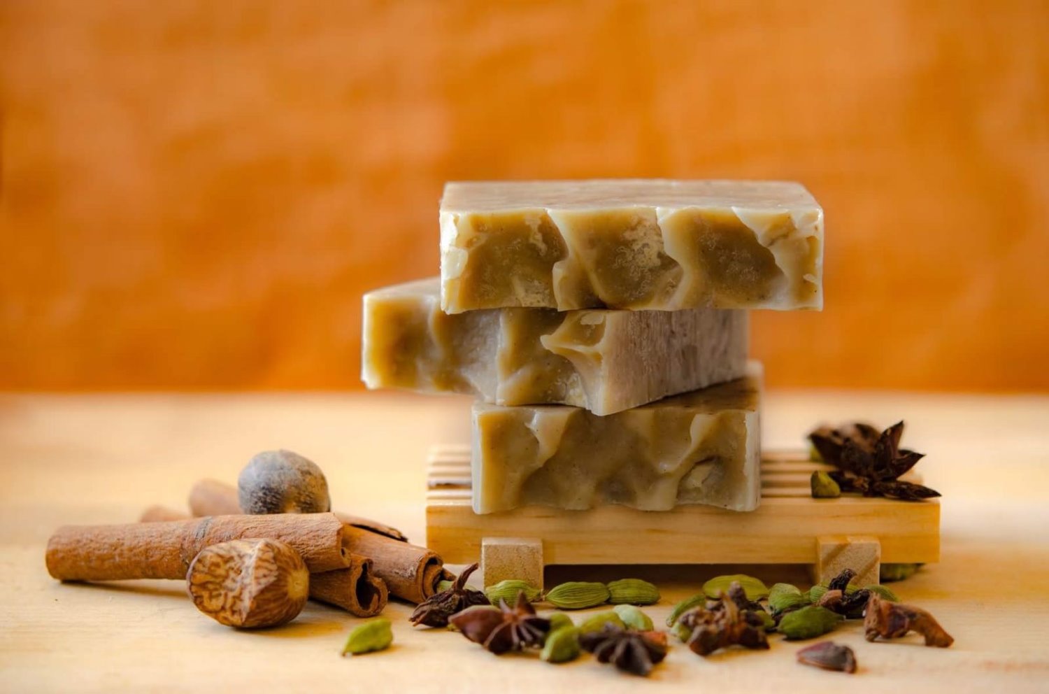 יונת מדבר צילום מור ולדמן