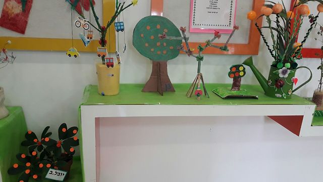 צילום: נעמת