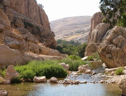 נחל פרת -צילום יוחאי כורם