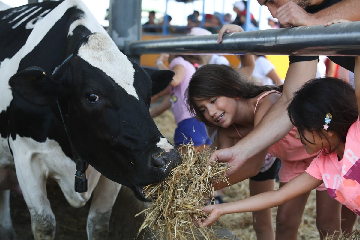 הרפת באדיבות קיבוץ יד מרדכי