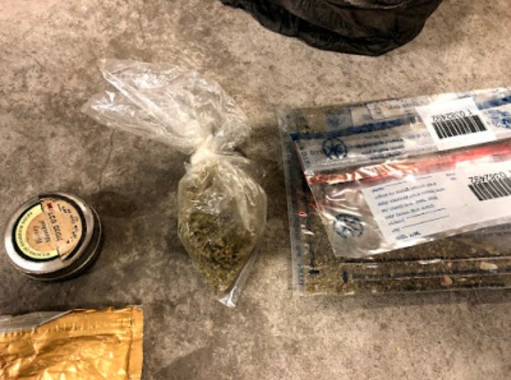 קרדיט דוברות המשטרה