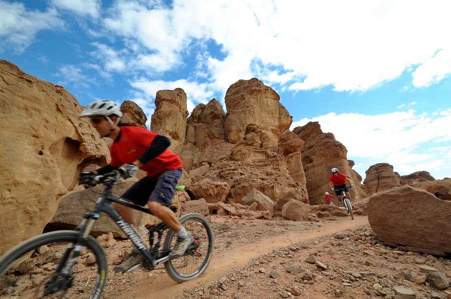 תמנע-צילום  ארן דולב
