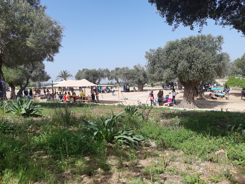 חניון זיתים- מיטל אהרון