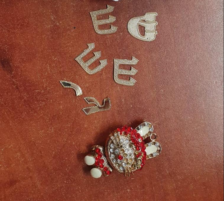 צילום דוברות המשטרה