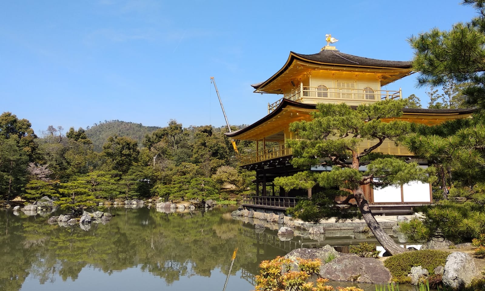 יפן 2019, הגשמת חלום ילדות. צילמה ענת מנדל