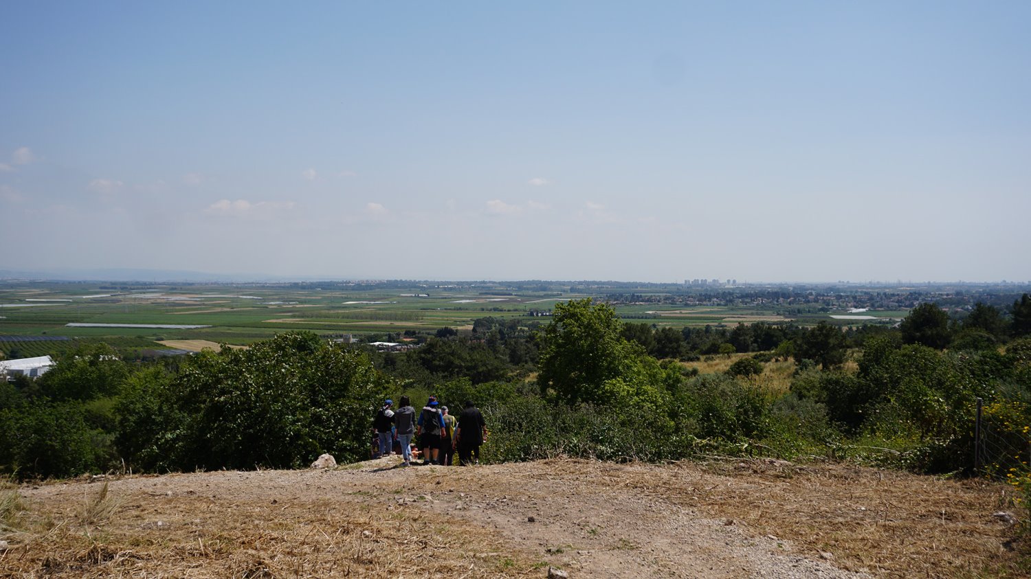 צילום אלון שיינדר