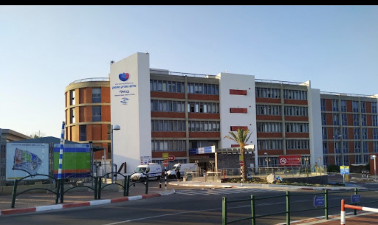 דוברות ברזילי 