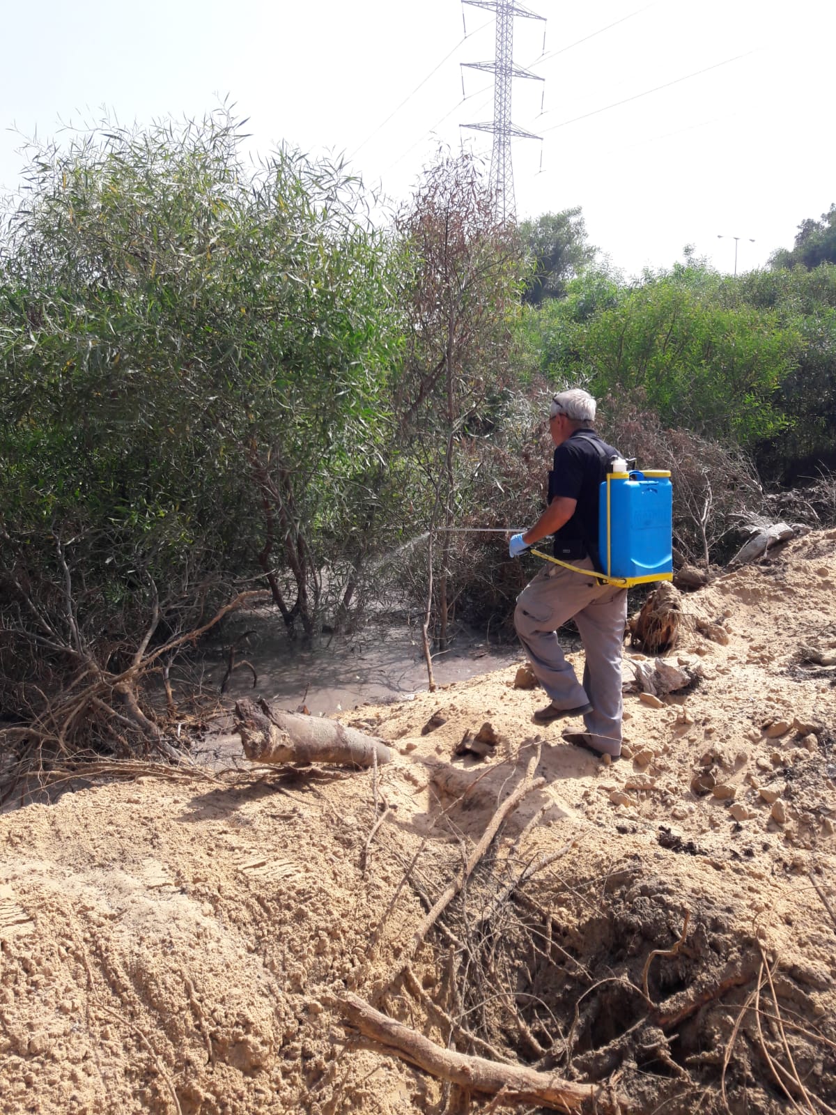 דוברות העירייה 
