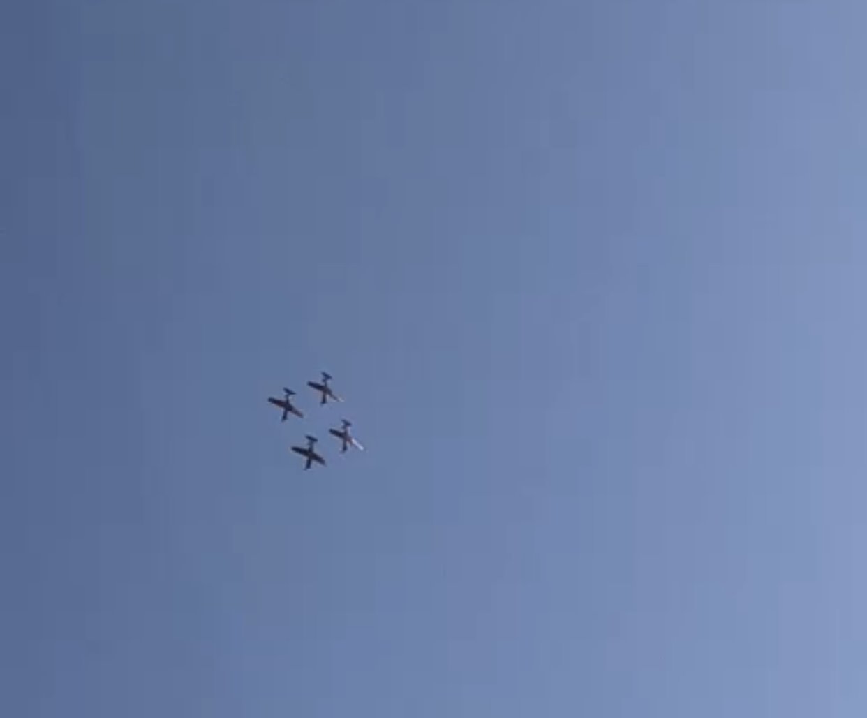 העפרוני מעל ברזילי בחזרות