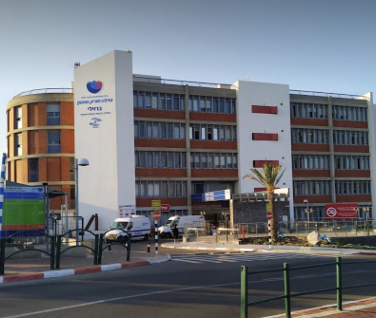 דוברות ברזילי