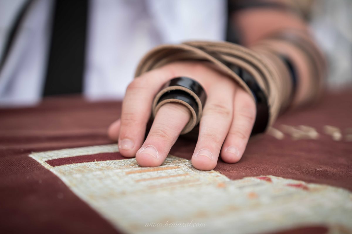 קרדיט תמונה: סטאס מוזיקוב