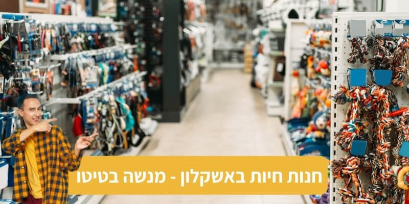 קרדיט תמונות: Canva