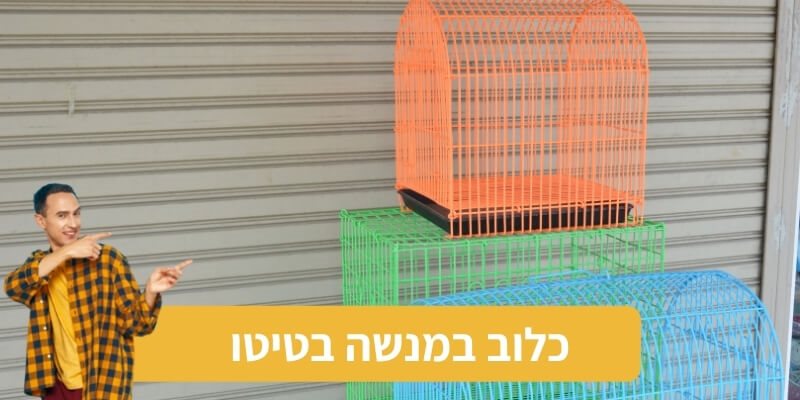 קרדיט תמונות: Canva