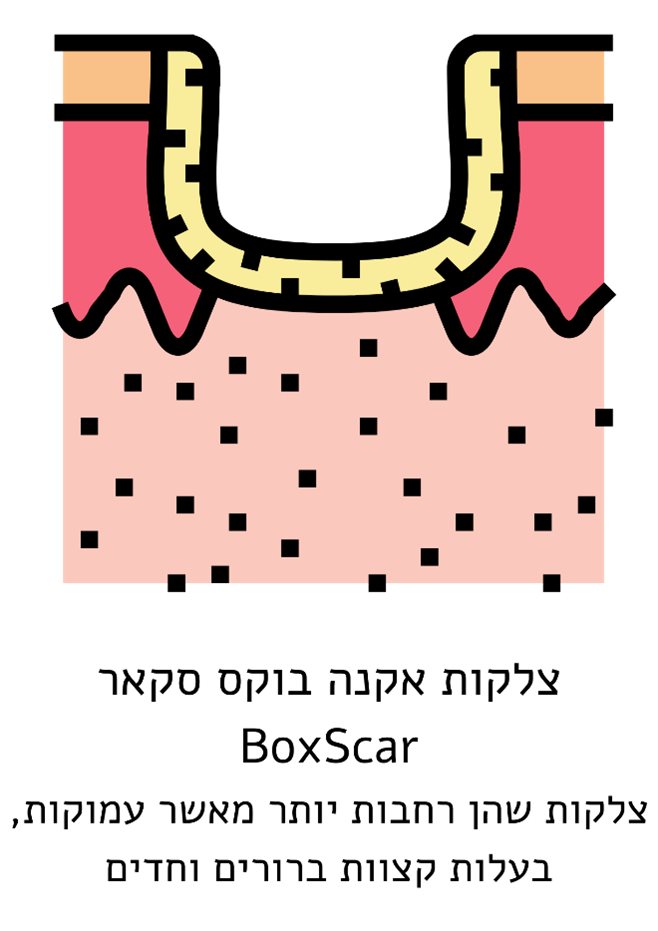 קרדיט CANVA