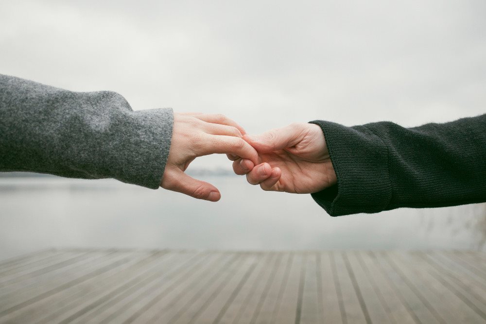 קרדיט לתמונות FREEPIK