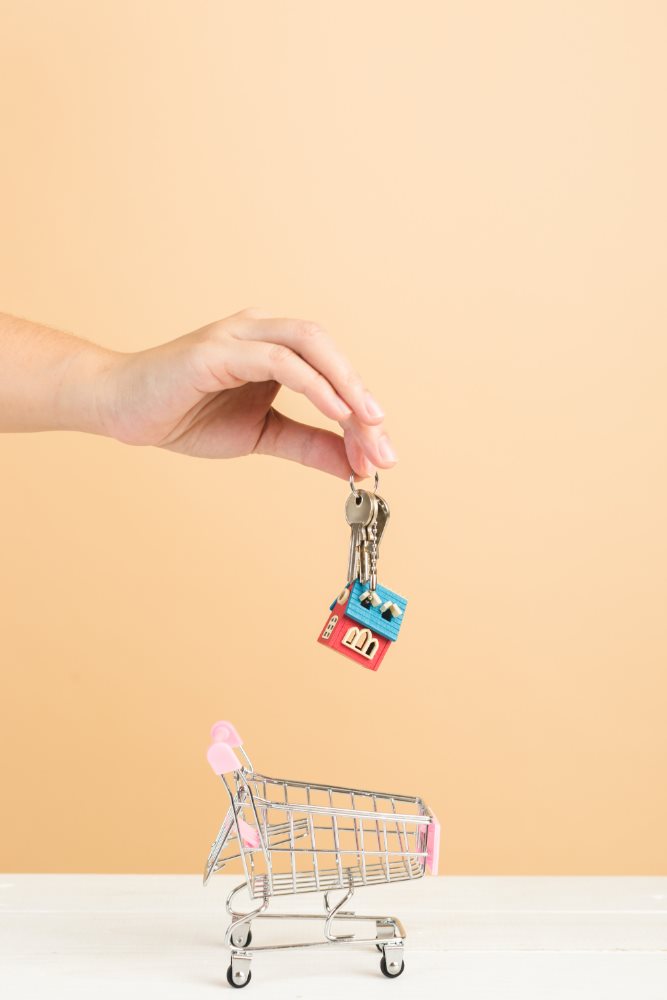 קרדיט תמונה FREEPIK