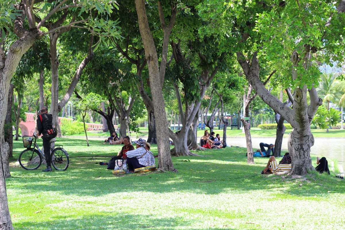 קרדיט תמונה Shutterstock