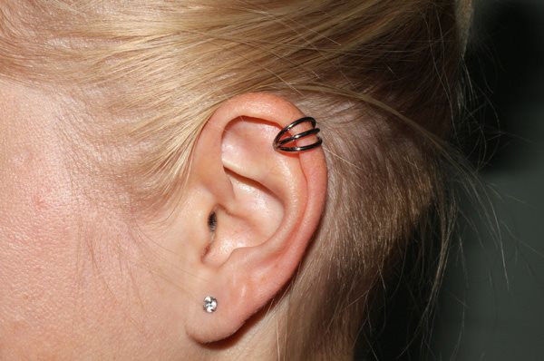 קרדיט תמונה PEXELS