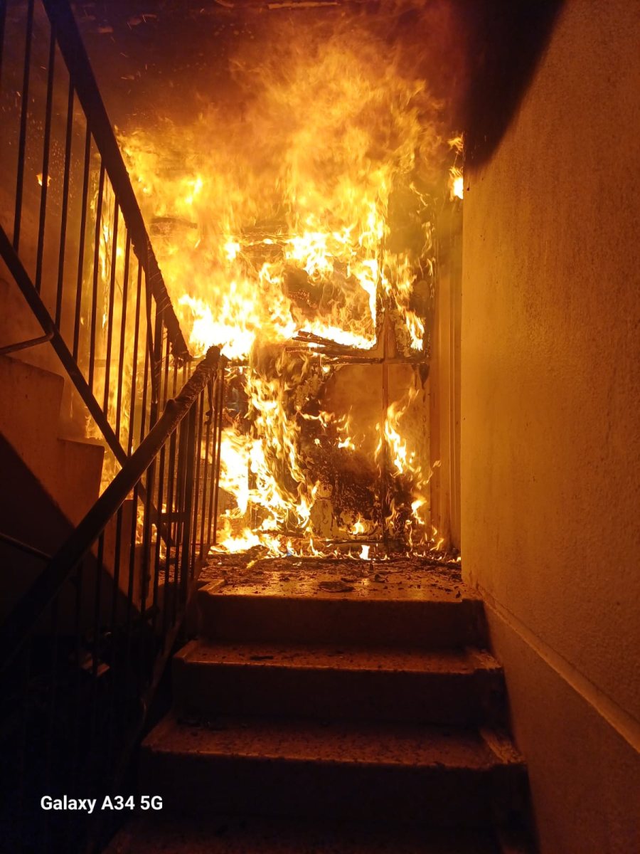 דוברות כב״ה