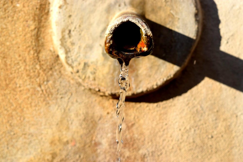 קרדיט תמונה FREEPIK