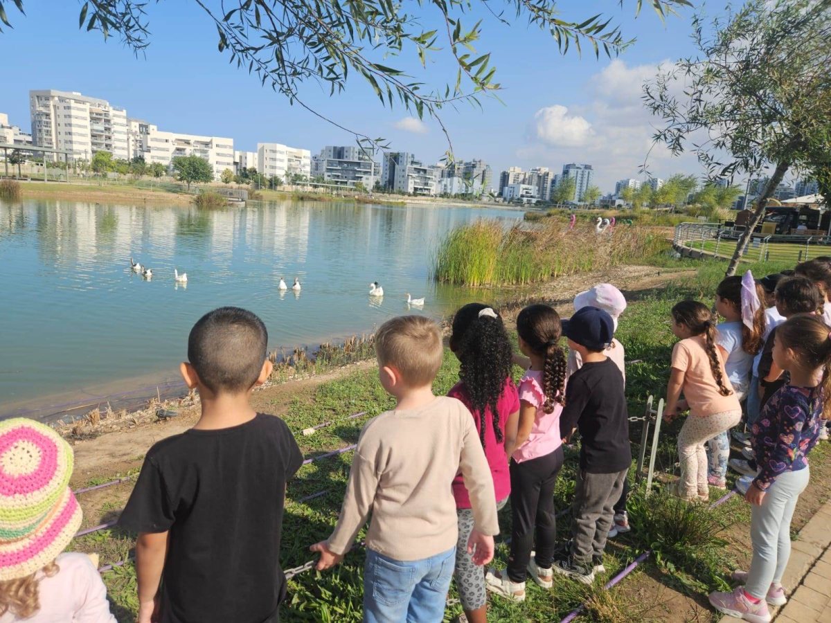 דוברות עירייה