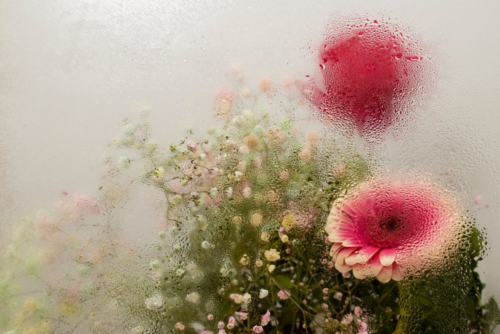 קרדיט תמונה FREEPIK