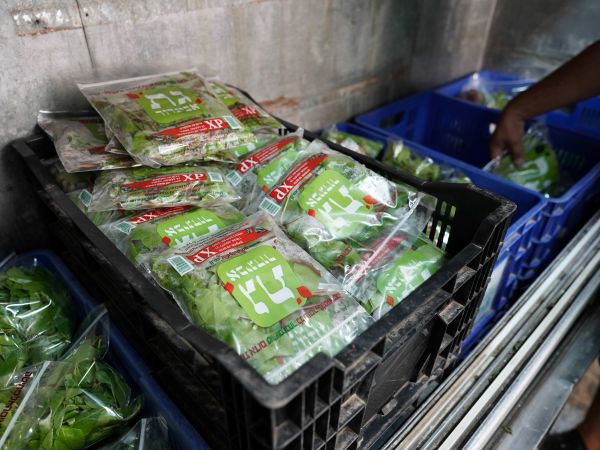 קרדיט תמונה יח"צ