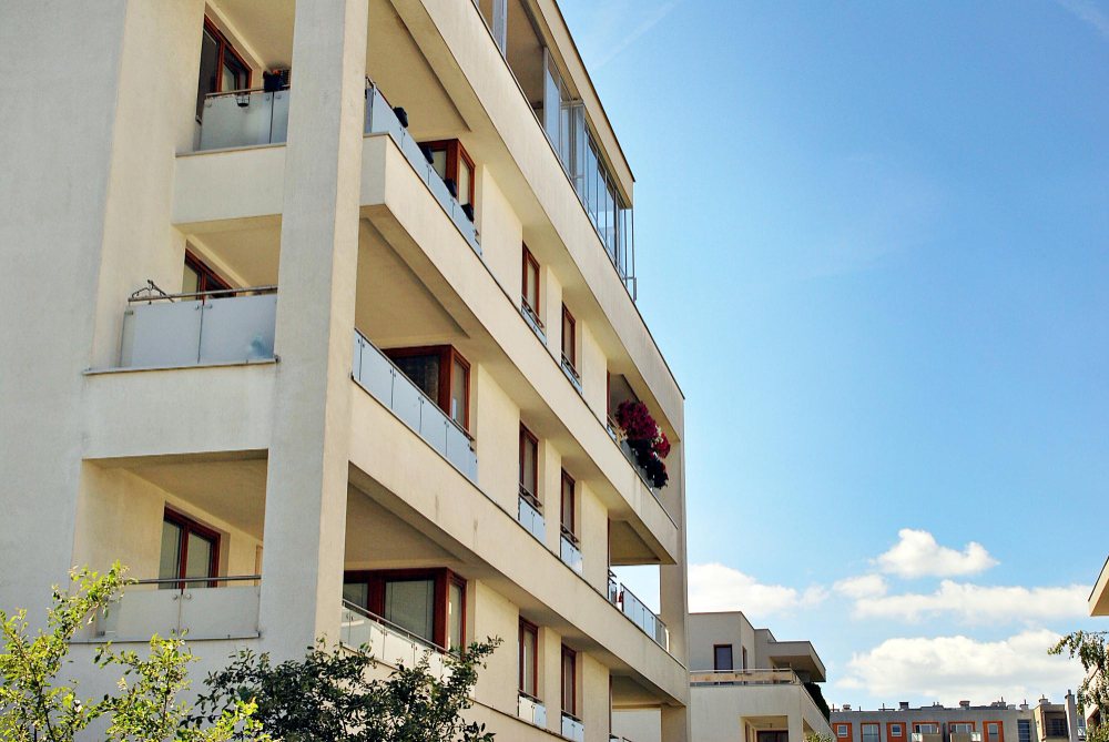 קרדיט תמונה FREEPIK