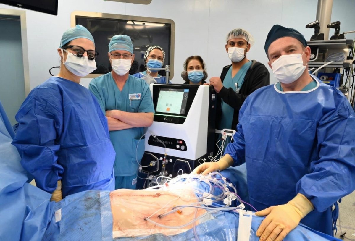 דוברות ברזילי