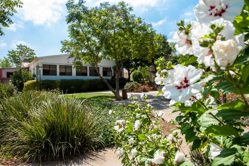 קרדיט לתמונות:  קשת יהונתן