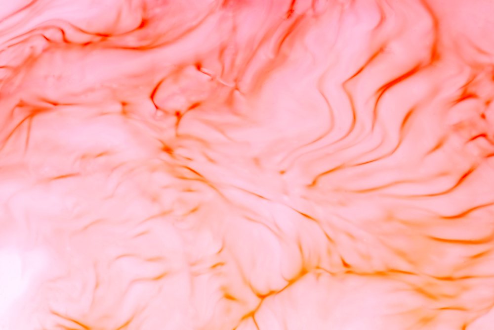 קרדיט תמונה FREEPIK