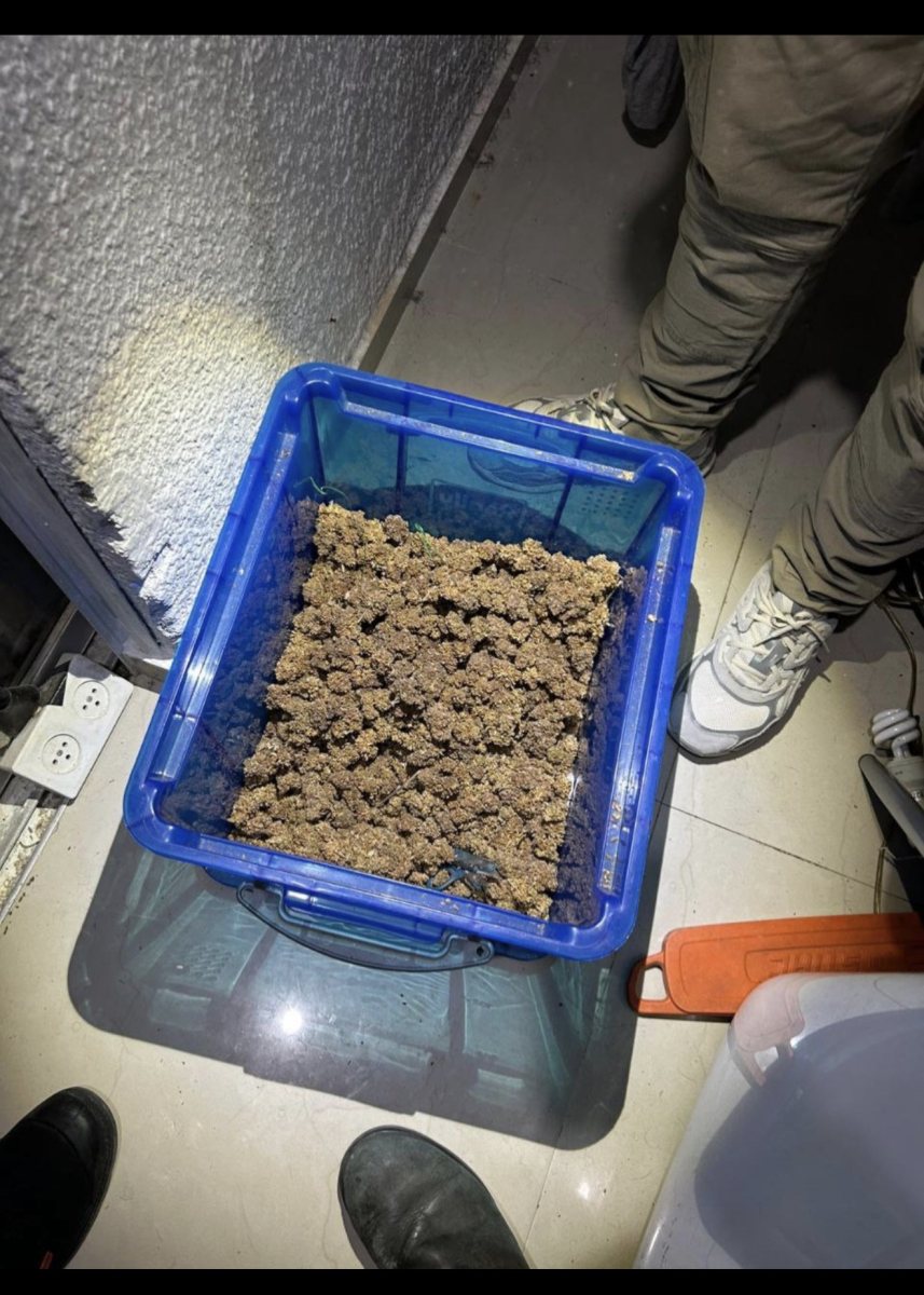 דוברות המשטרה