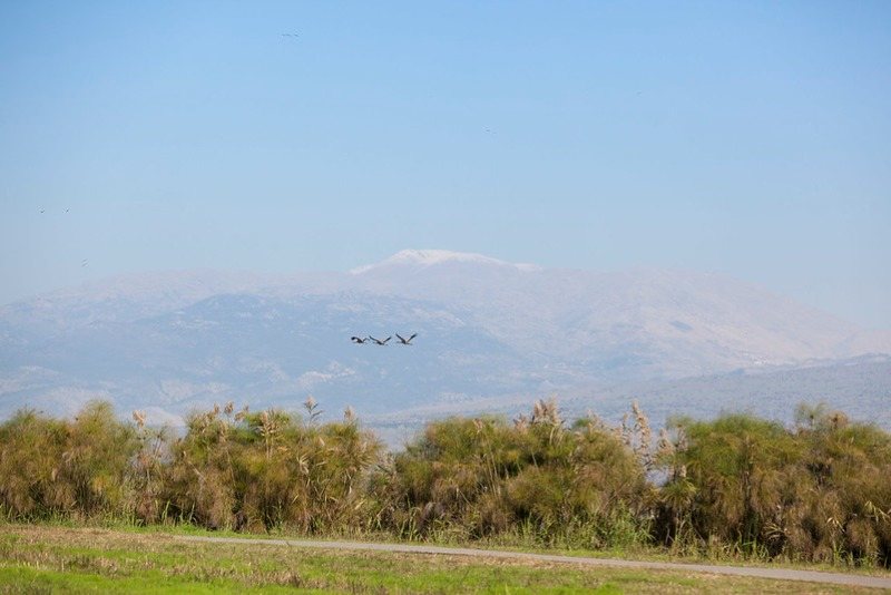 צילום:  איתמר גרינברג