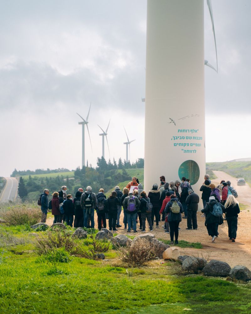 צילום: עידן ארד
