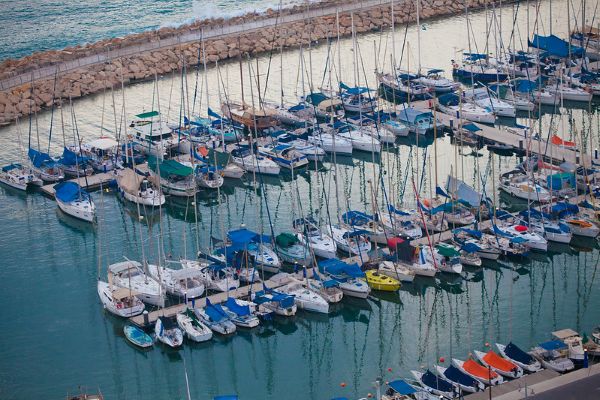 קרדיט תמונה דפנה פרינלנדר