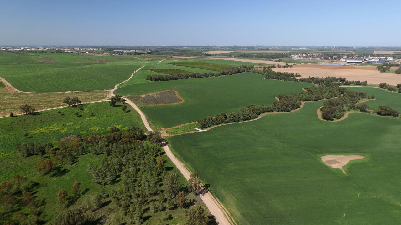 צילום אדי ישראל