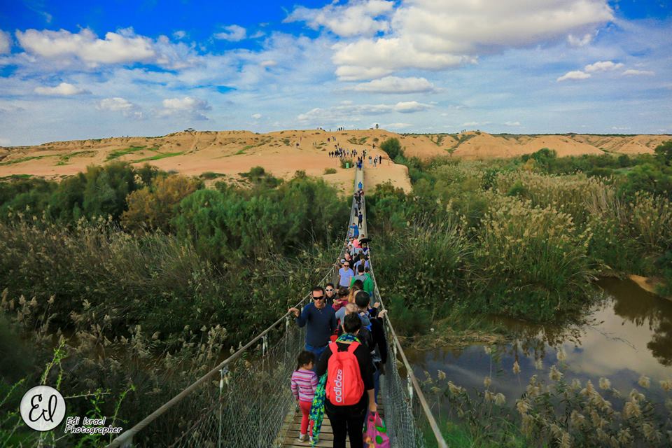 צילום אדי ישראל